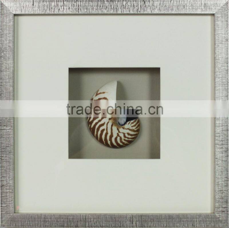 Chinese Nautilus Shells Graphic Art Shadow Box Gift Ideas Wall Decor