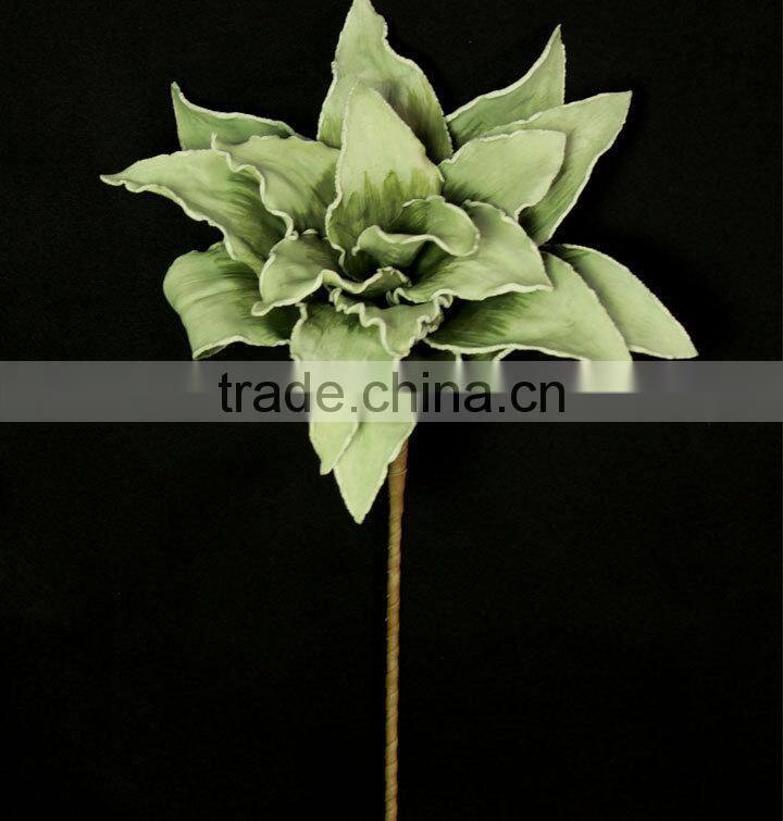 wholesale alibaba large indoor tropical plants