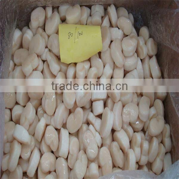 frozen sea scallops fan shell