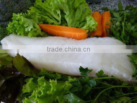 Patagonian Toothfish or Real Chilean Seabass