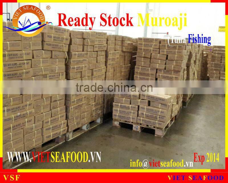READY STOCK FOR SUPPLY MUROAJI FOR TUNA BAIT