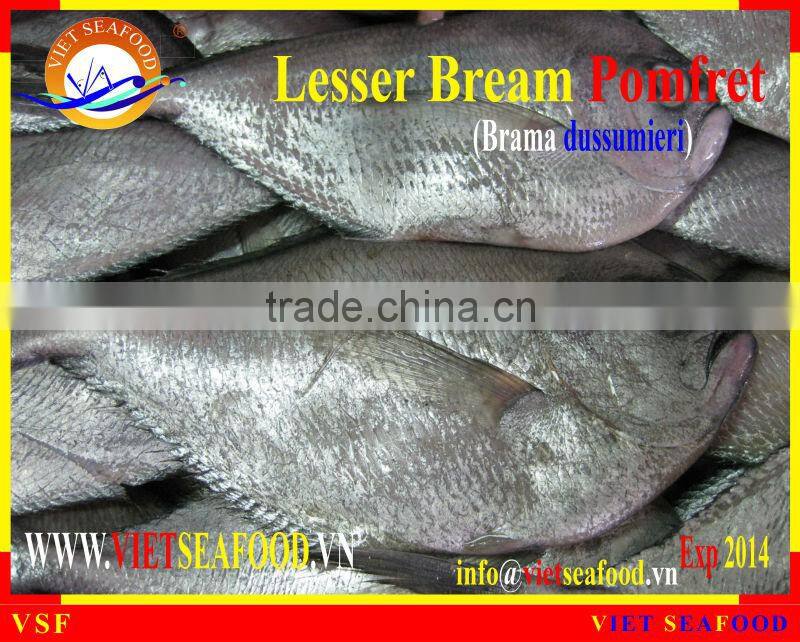 FROZEN W/R LESSER BREAM POMFRET