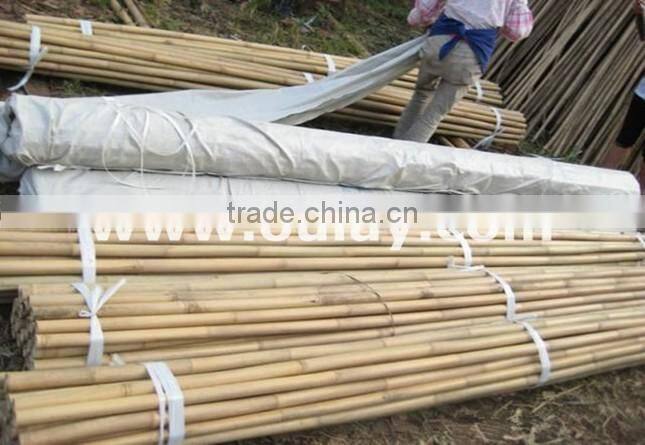 vineyard pole,raw bamboo poles wholesale