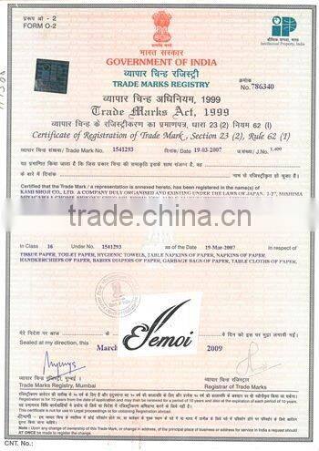 Easy to use and Hot-selling ebay brazil Ellemoi disposable roll towel with Luxury made in Japan