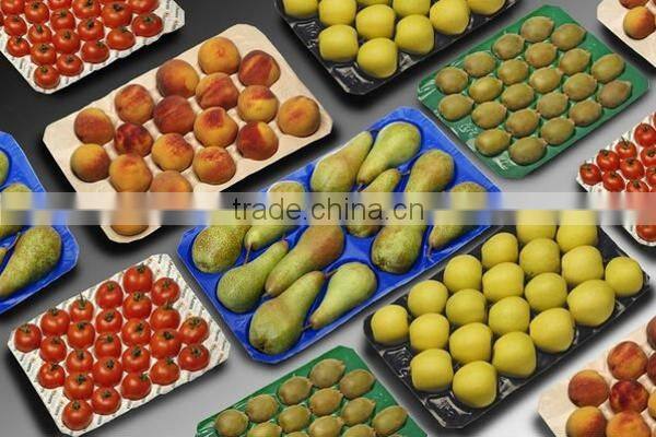 Plastic Insert Tray fruit packing PP Plastic Inner Package Apple Tray