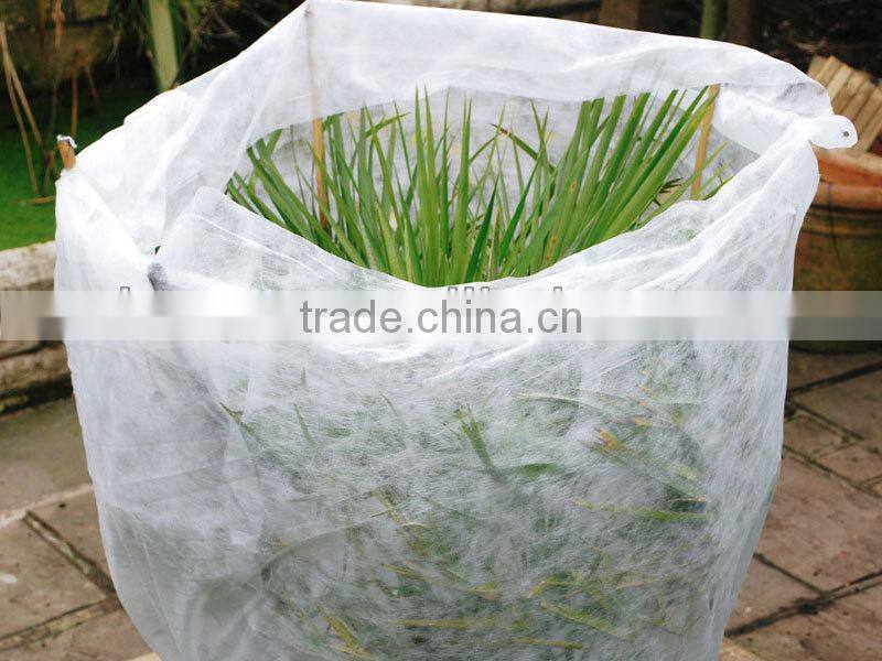 Biodegradable Polypropylene Agricultural Film