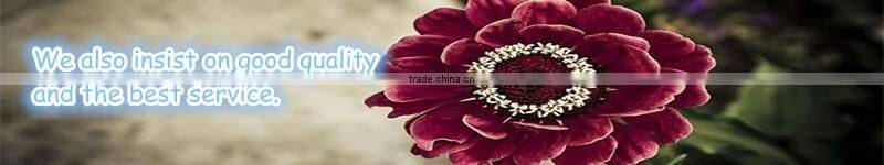 Hottest low price china factory direct sale linen dress