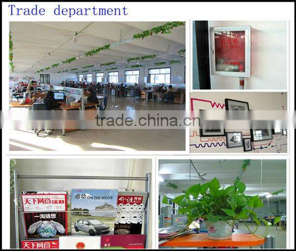 Mesh Caps and Hats/Alibaba China Caps and Hats/Blank Caps and Hats