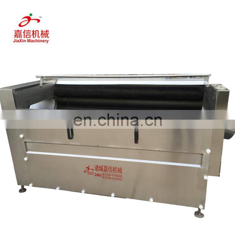 Brush type carrot washing machine