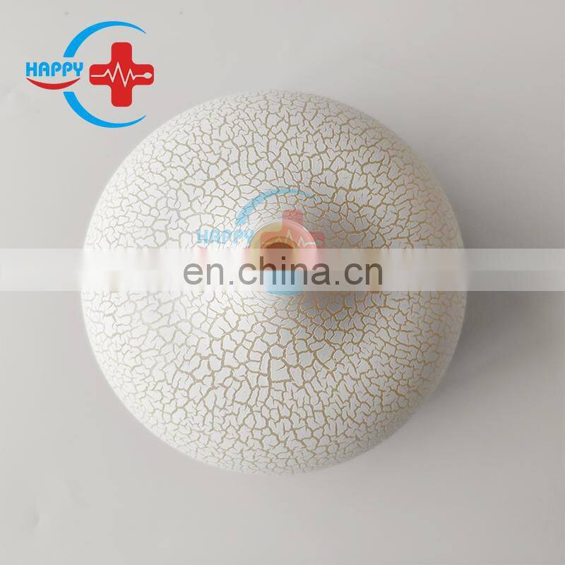 HC-G024C Cheap Portable Cool Mist LED Night Light Air Humidifier USB Car Humidifier Aroma Diffuser