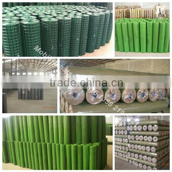 china factory green color 1/2 inch Vinyl Coated welded wire mesh