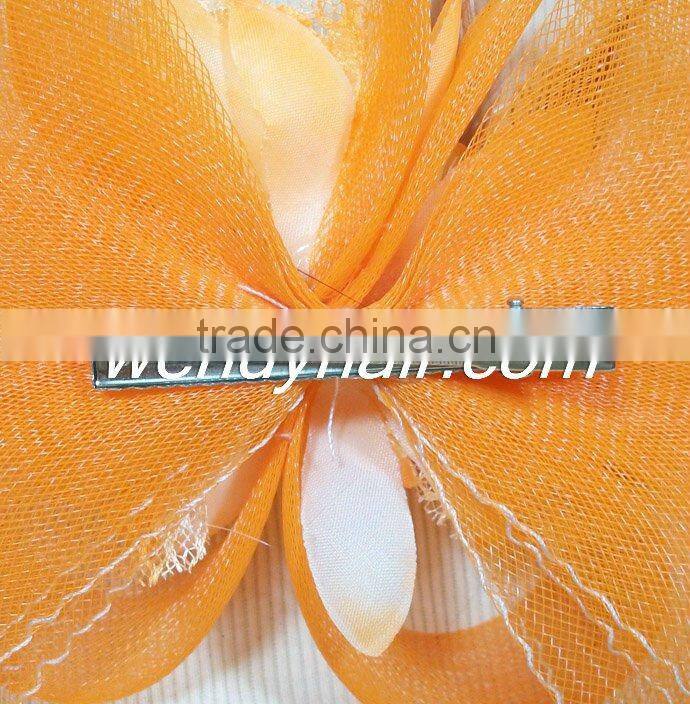 Beautiful and fashion hair accessories for women