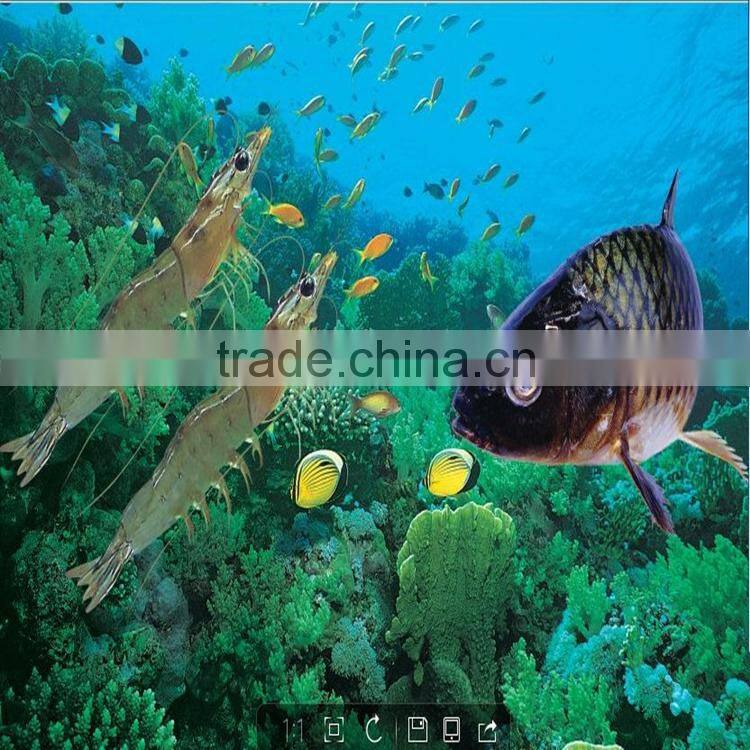 aquatic product to promote algae growth