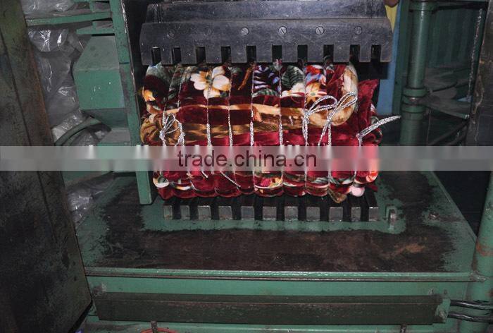 1Ply Printed Raschel Blanket/Korean Mink Blanket