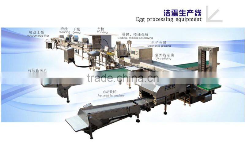 China hotest egg processing machine from zenyer