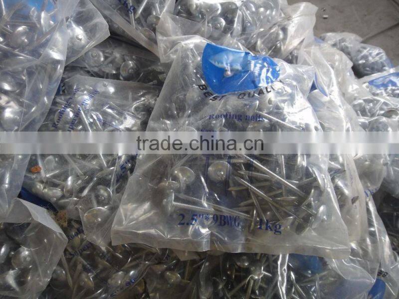 umbrella head galvanized roofing screw nail