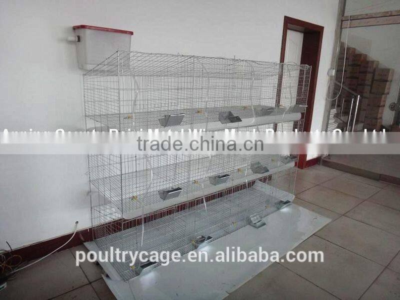 Cheap Large Welded Metal Rabbit Cage For Sale insurance/Commercial/ Femal Rabbit Cage Made in China