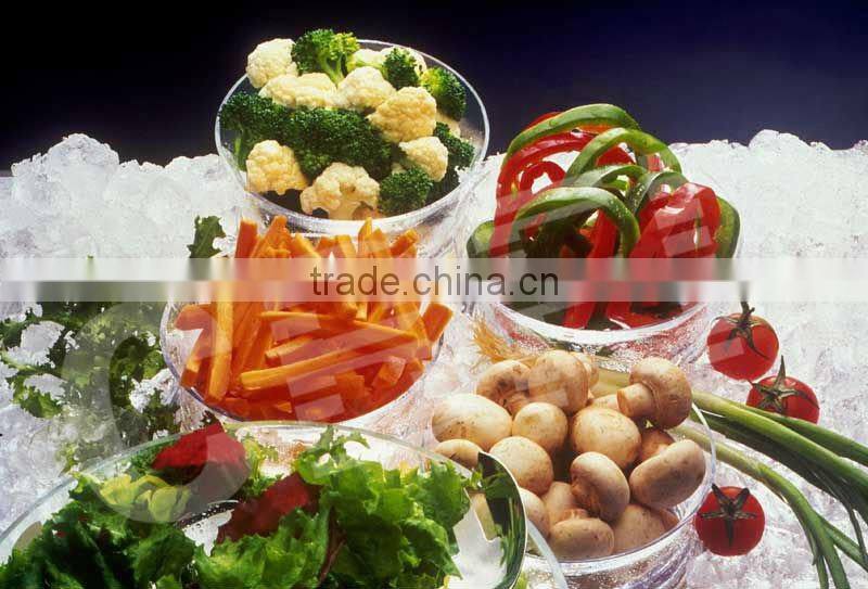 Mini Ice Block Maker for Freshing Vegetables