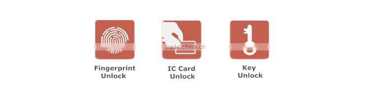 Fingerprint Electronic Stainless Steel Swing Door Lock Made in China