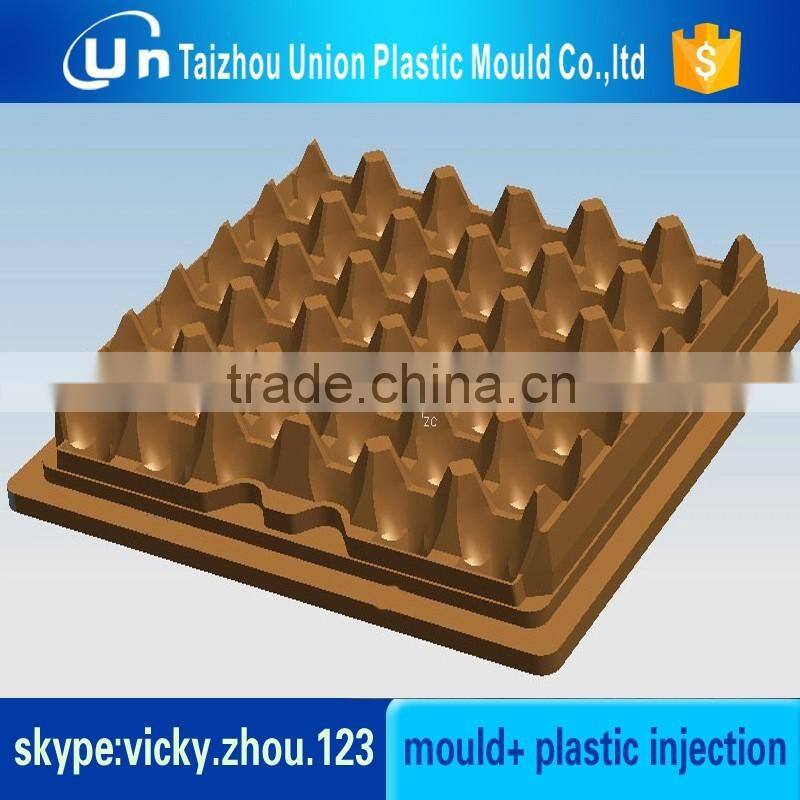 High polish precision professional plastic egg tray mould maker