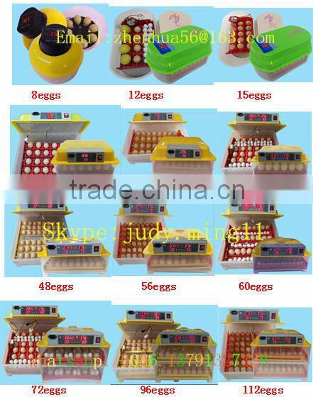 transport cage chicken