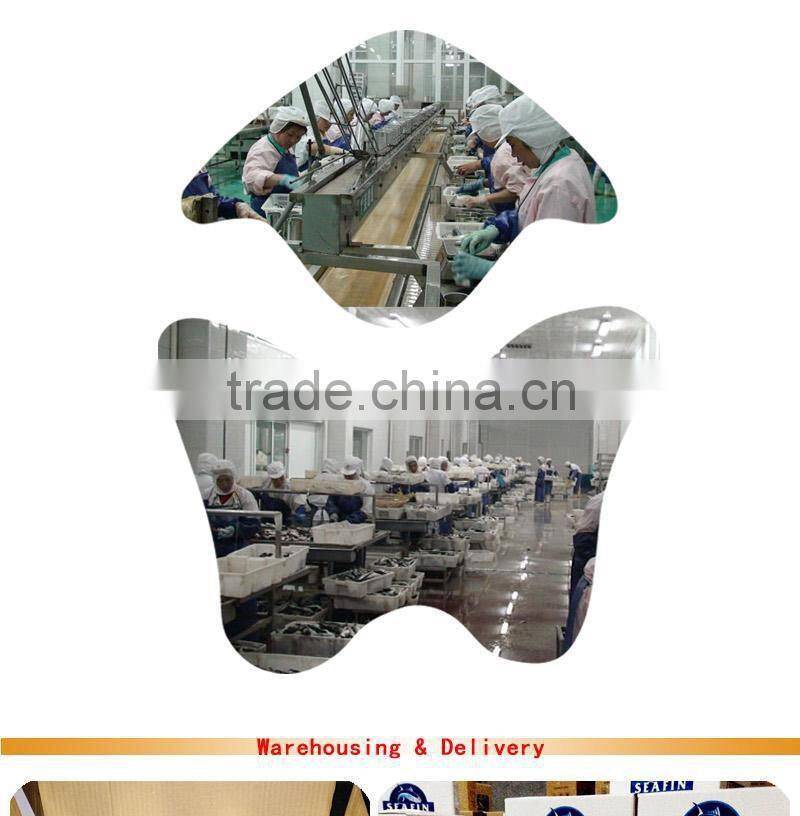 canned jack mackerel in oil 170g