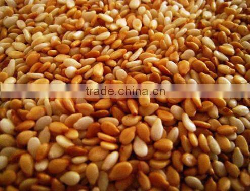Roasted Hulled Sesame seeds