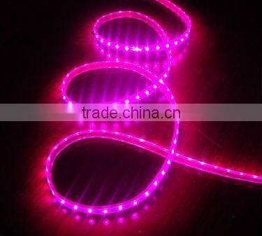 China factory waterproof 30leds/meter smd3528 led ropes