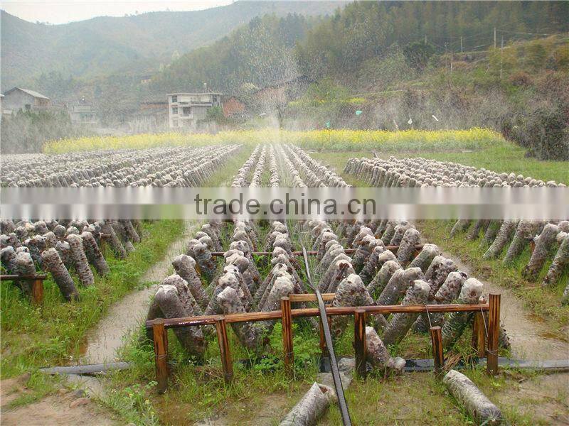 PE lay flat irrigation hose