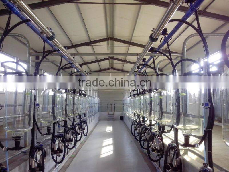 Herringbone type glass bottle metering milking parlor price