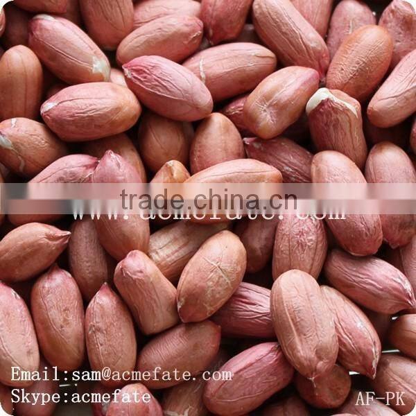 Chinese peanut kernels(virgina type)