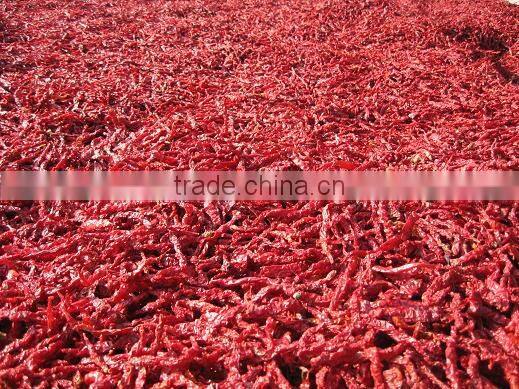 DRY CHILLI