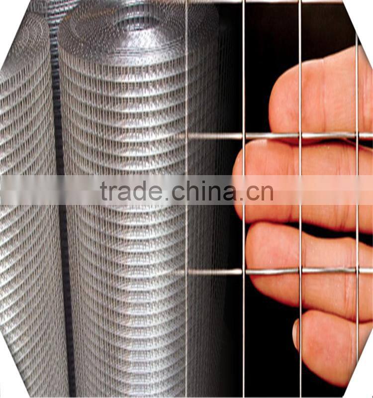 Alibaba Wholesale Cheap Welded Wire Mesh Stainless Steel Welded Wire Mesh/Anping Factory Welded Wire Mesh