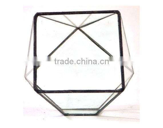 Truncated Zigzag 2 sizes Geometric Flower Glass Terrarium
