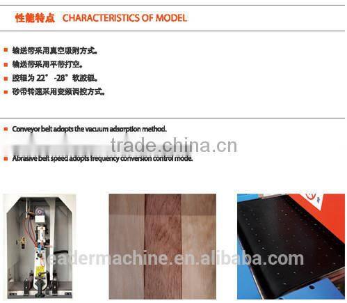 R-RP400 European Quality CE Certification special wood sanding machine