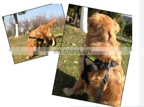 Pet head traction band pet strap band factory