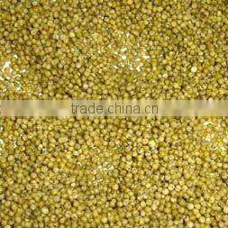 Green millet organic