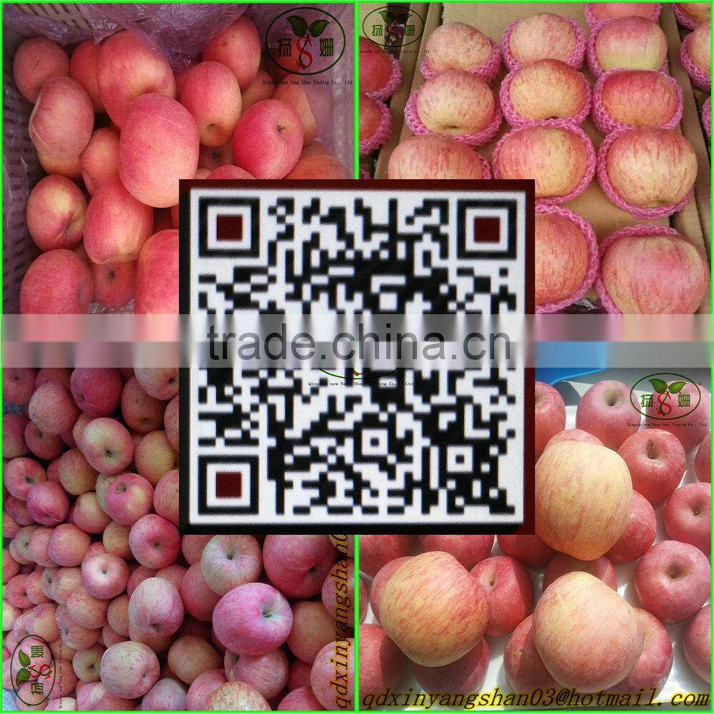 China's shandong province, one of the best red Fuji apple/fresh apple, exported to Europe and the United States, southeast Asia