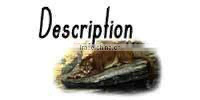 Linkboy Outdoor Hunting arrow broadheads,Expandable steel blades Arrowhead Tip 100 Grain archery hunting