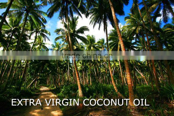 Organic coconut oil price for Sri Lanka