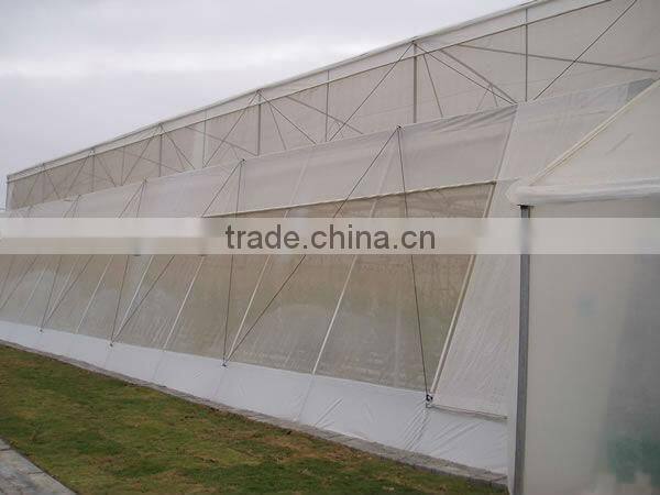 HDPE hot sell anti insect net
