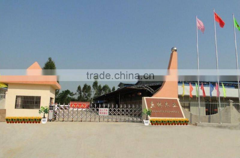 customize pheolic resign faced plywood