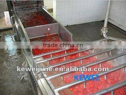 CXJ factory direct sales fruit bubble washer