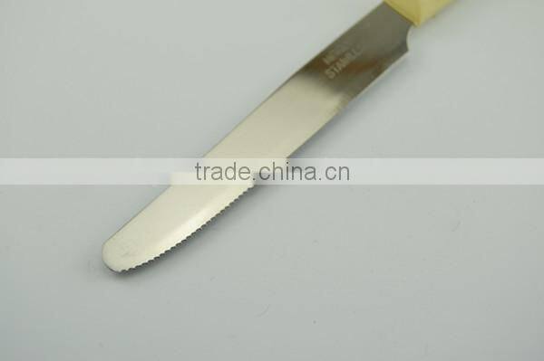 Plastic Handle Stainless Steel Cheap Steak Knife steak knife