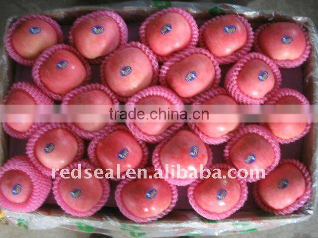 Hot sale Fuji Red apple