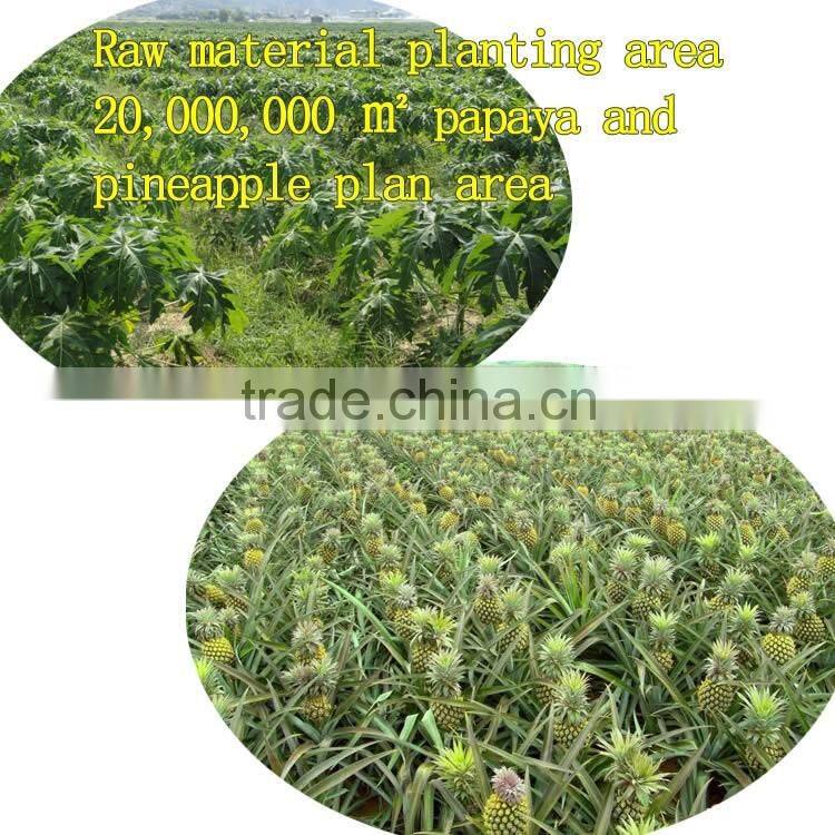 China manufacturer direct sale top quality pineapple enzyme pineapple extract