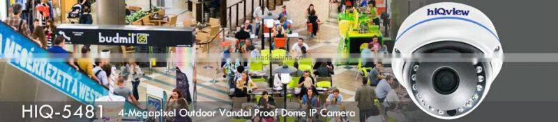 HIQ-5481 4-Megapixel Outdoor Vandal Proof Dome IP Camera
