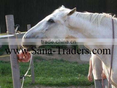 Rock Salt For Horse Licks / Animal Lick salt / Salt Licks / Himalayan Salt Licks / Salt Animal Licks / Rock Salt Cattle Feed