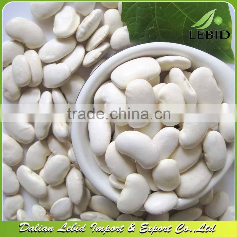 Large White Kidney Beans / Butter beans 2014