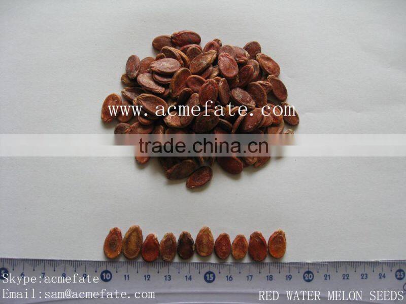 wholesale delicious sunflower seeds